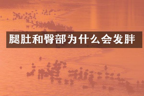 腿肚和臀部为什么会发胖