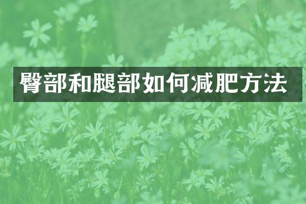 臀部和腿部如何减肥方法