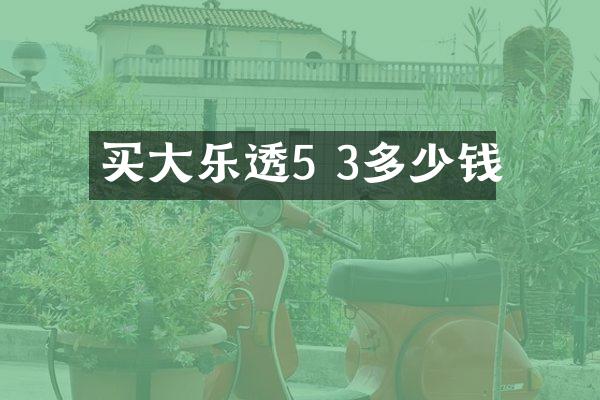 买大5 3多少钱