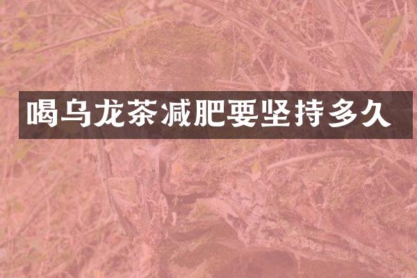 喝乌龙茶减肥要坚持多久