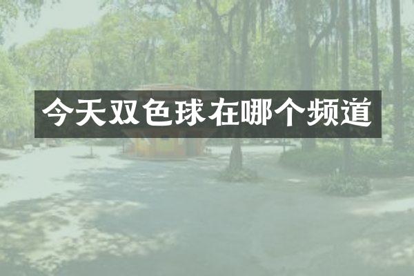 今天双色球在哪个频道