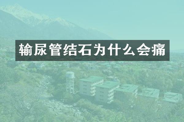 输尿管结石为什么会痛
