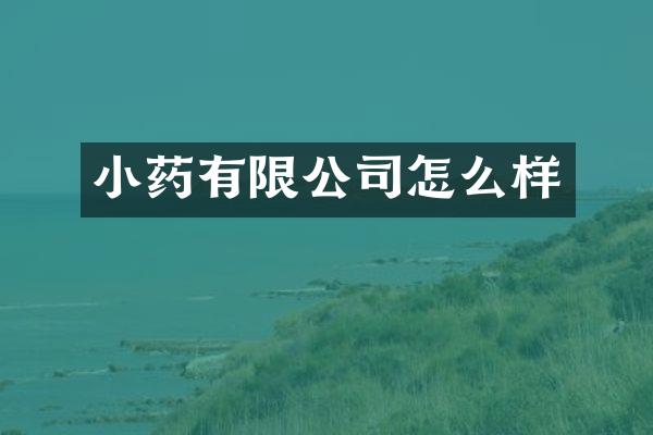 小药有限公司怎么样