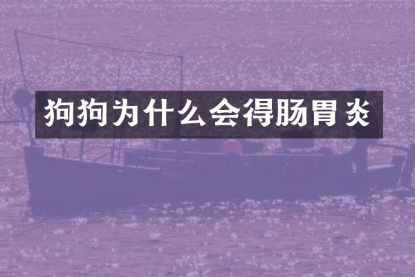 狗狗为什么会得肠胃炎