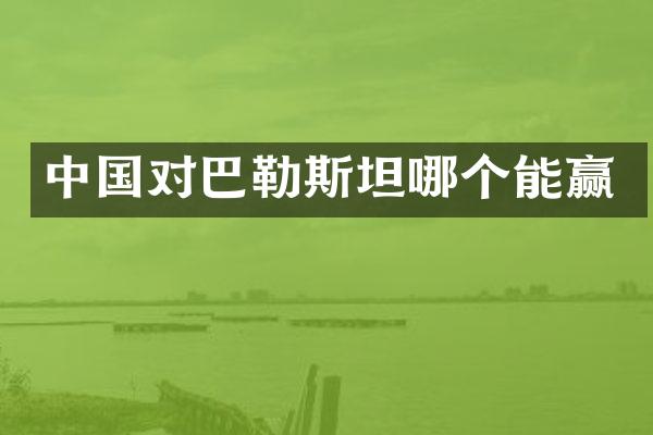 中国对巴勒斯坦哪个能赢