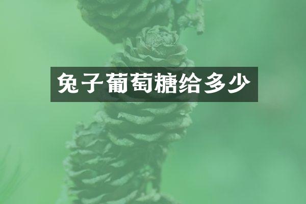 兔子葡萄糖给多少
