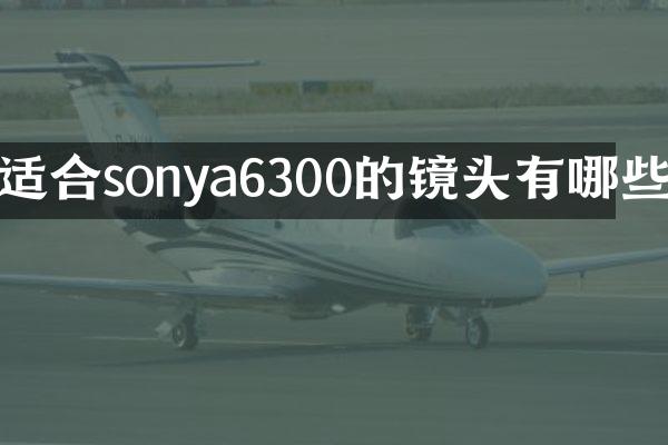 适合sonya6300的镜头有哪些