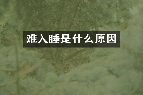 难入睡是什么原因
