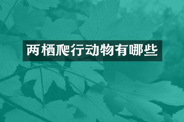 两栖爬行动物有哪些