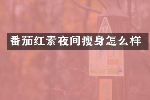 番茄红素夜间瘦身怎么样