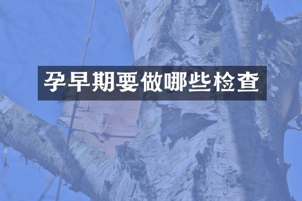 孕早期要做哪些检查