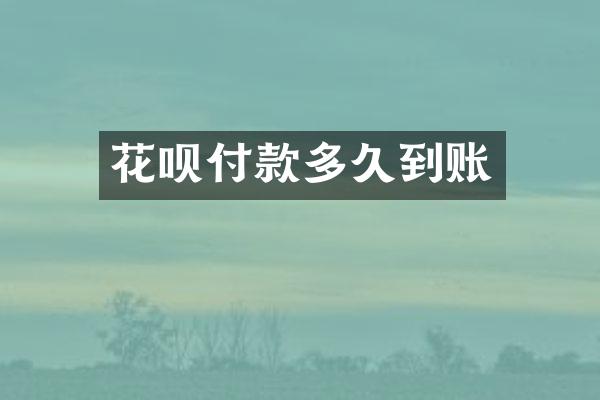 花呗付款多久到账