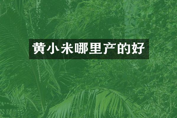 黄小米哪里产的好