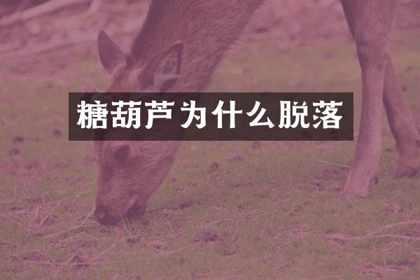 糖葫芦为什么脱落