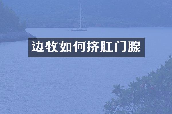 边牧如何挤肛门腺