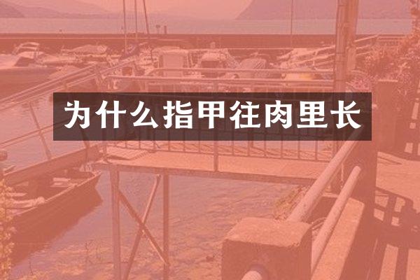 为什么指甲往肉里长