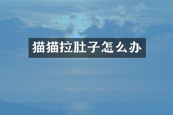 猫猫拉肚子怎么办