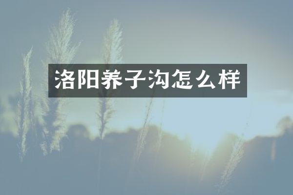 洛阳养子沟怎么样