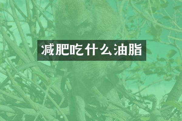 减肥吃什么油脂