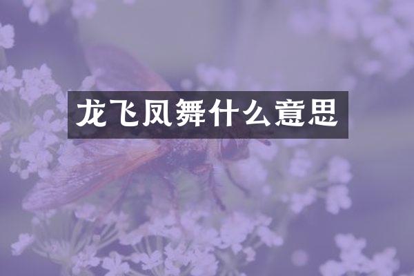 龙飞凤舞什么意思