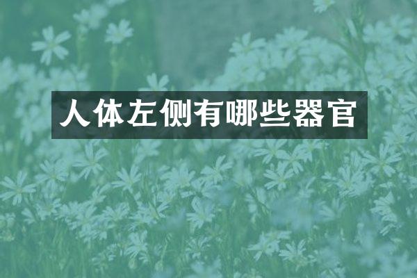 人体左侧有哪些器官