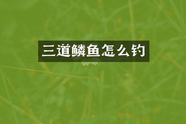 三道鳞鱼怎么钓
