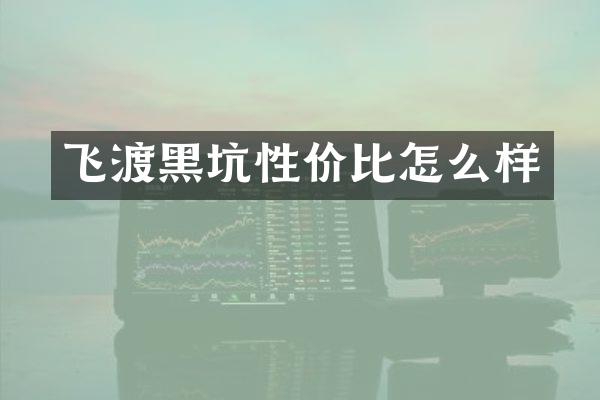 飞渡黑坑性价比怎么样