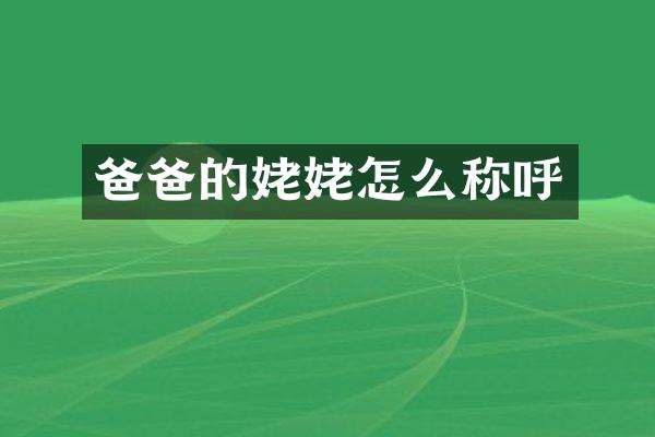 爸爸的姥姥怎么称呼