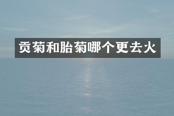 贡菊和胎菊哪个更去火