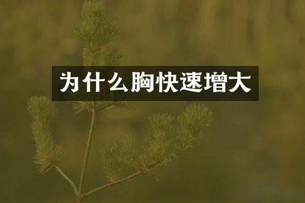 为什么胸快速增大