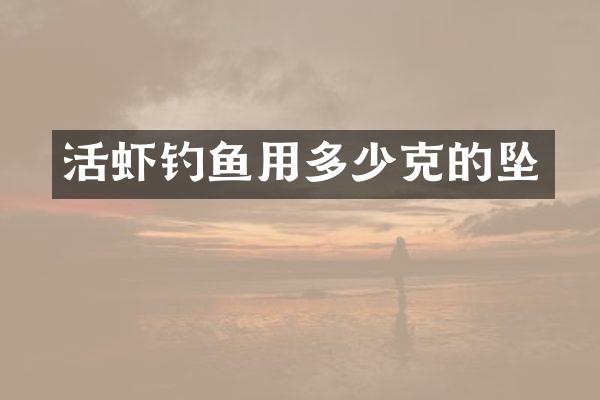 活虾钓鱼用多少克的坠