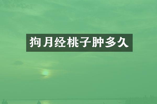 狗月经桃子肿多久