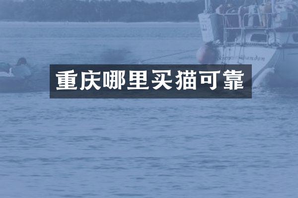 重庆哪里买猫可靠