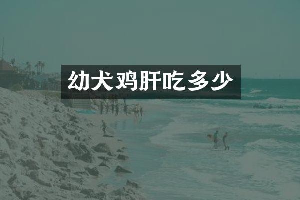 幼犬鸡肝吃多少
