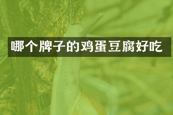 哪个牌子的鸡蛋豆腐好吃