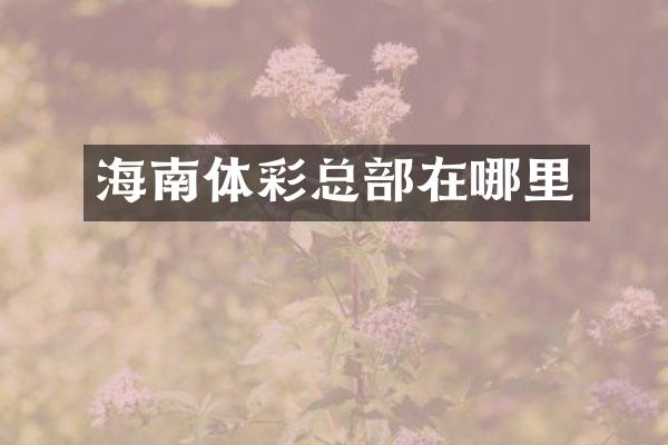 海南体彩总部在哪里