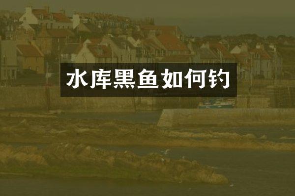 水库黑鱼如何钓