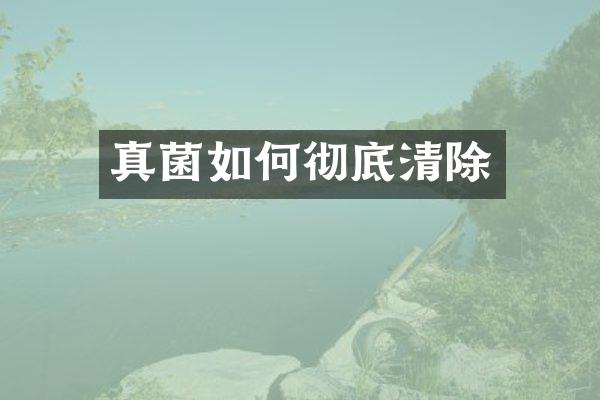 真菌如何彻底清除