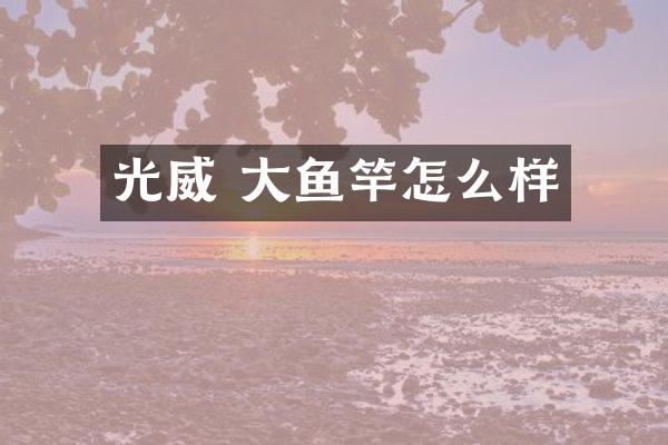 光威 大鱼竿怎么样