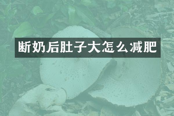 断奶后肚子大怎么减肥