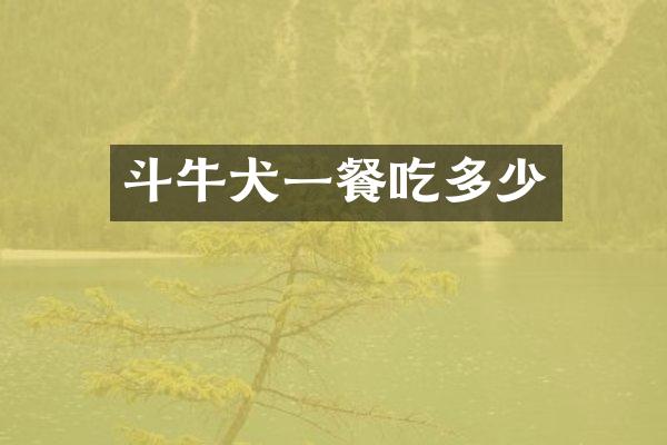 斗牛犬一餐吃多少