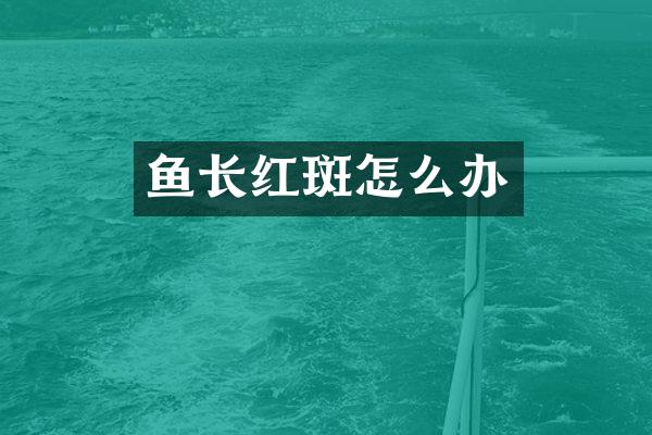 鱼长红斑怎么办
