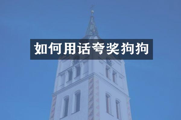 如何用话夸奖狗狗