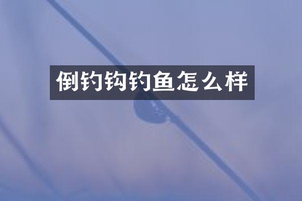 倒钓钩钓鱼怎么样