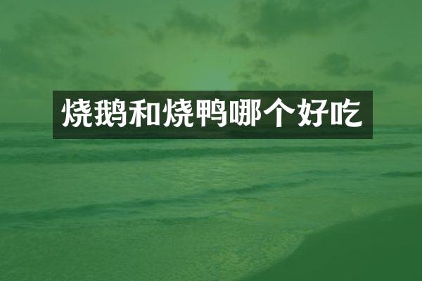 烧鹅和烧鸭哪个好吃