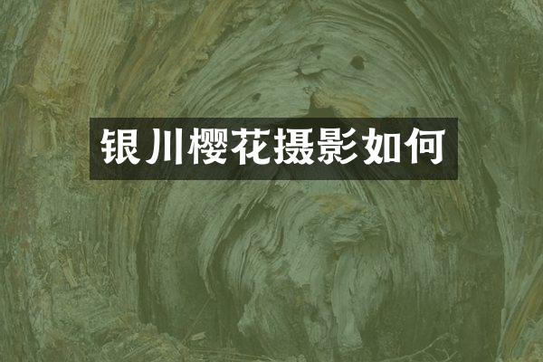 银川樱花摄影如何