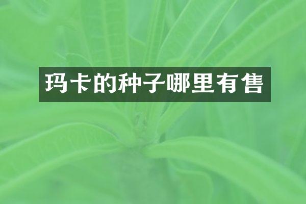 玛卡的种子哪里有售