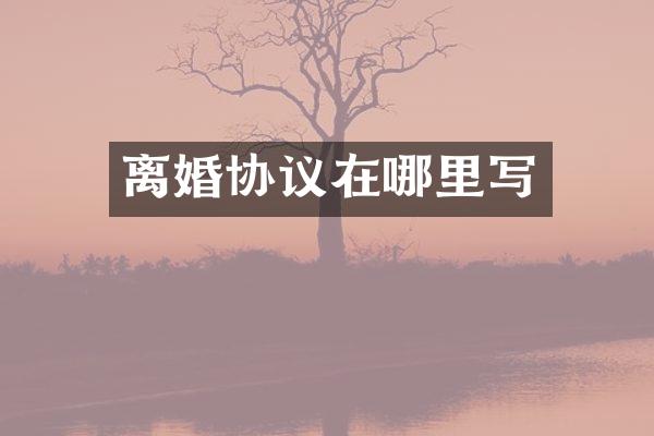 离婚协议在哪里写