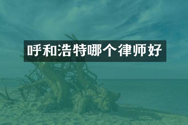 呼和浩特哪个律师好