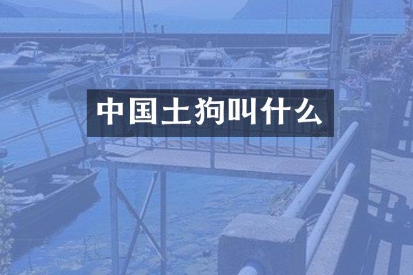 中国土狗叫什么